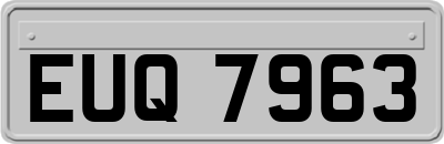 EUQ7963
