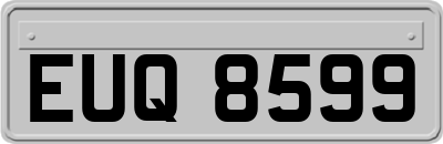EUQ8599