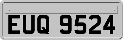EUQ9524