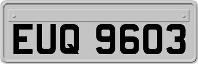 EUQ9603