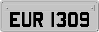 EUR1309