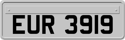 EUR3919