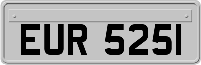 EUR5251