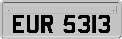 EUR5313