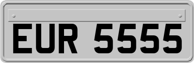 EUR5555