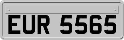 EUR5565