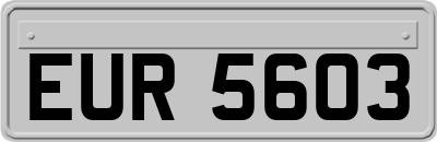 EUR5603