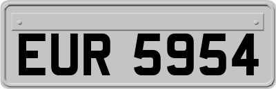 EUR5954