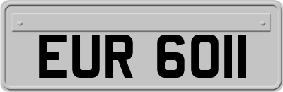 EUR6011