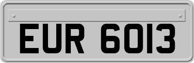 EUR6013