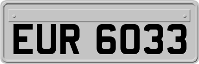 EUR6033