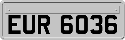 EUR6036