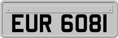 EUR6081