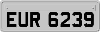 EUR6239
