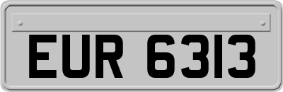 EUR6313