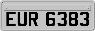 EUR6383