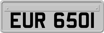 EUR6501