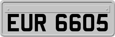 EUR6605