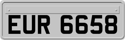 EUR6658