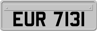 EUR7131