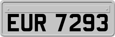 EUR7293