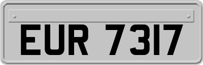 EUR7317