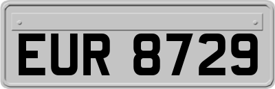EUR8729