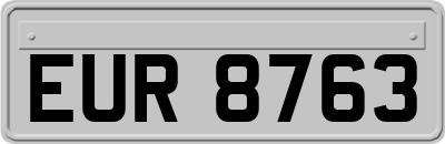 EUR8763