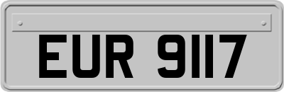 EUR9117