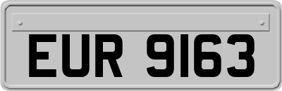 EUR9163