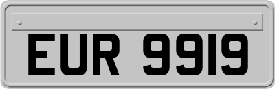 EUR9919