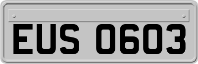 EUS0603