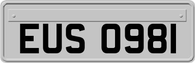 EUS0981