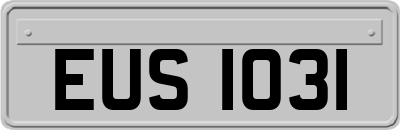 EUS1031