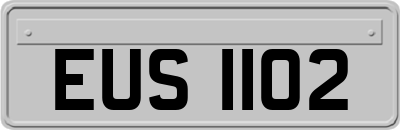 EUS1102