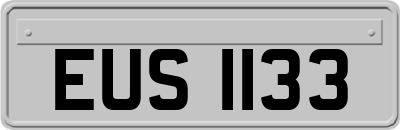 EUS1133
