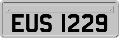 EUS1229