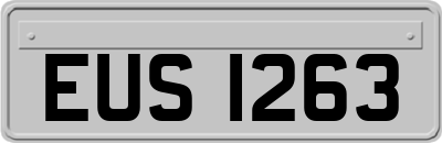 EUS1263
