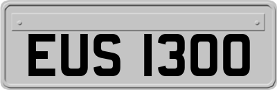 EUS1300