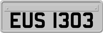 EUS1303