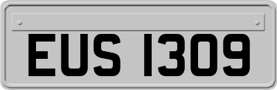 EUS1309