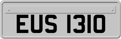 EUS1310