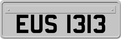 EUS1313