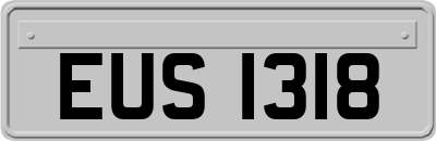 EUS1318