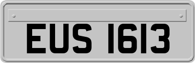 EUS1613