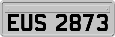 EUS2873