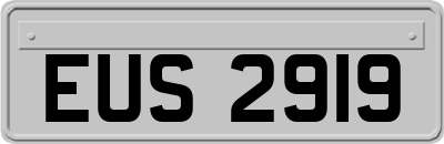 EUS2919