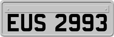 EUS2993
