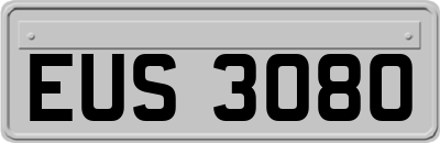 EUS3080