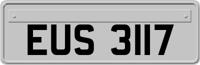 EUS3117